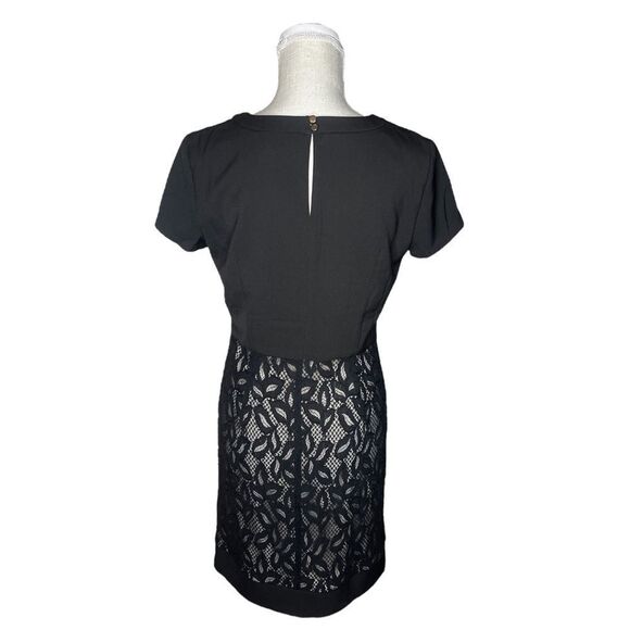 White House Black Market Lace Shift Dress Size 6 - Picture 3 of 12